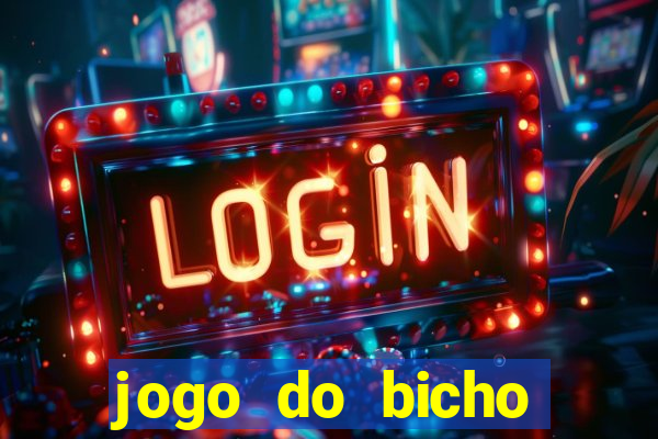 jogo do bicho crash bingo